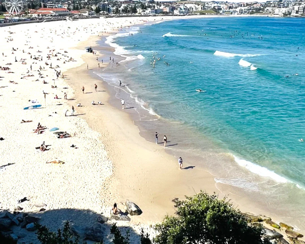 Bondi Beach from bird view