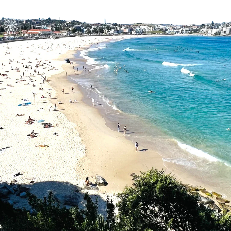 Bondi Beach from bird view