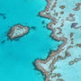 Protecting the Great Barrier Reef: The Role of Sustainability in Ocean Conservation