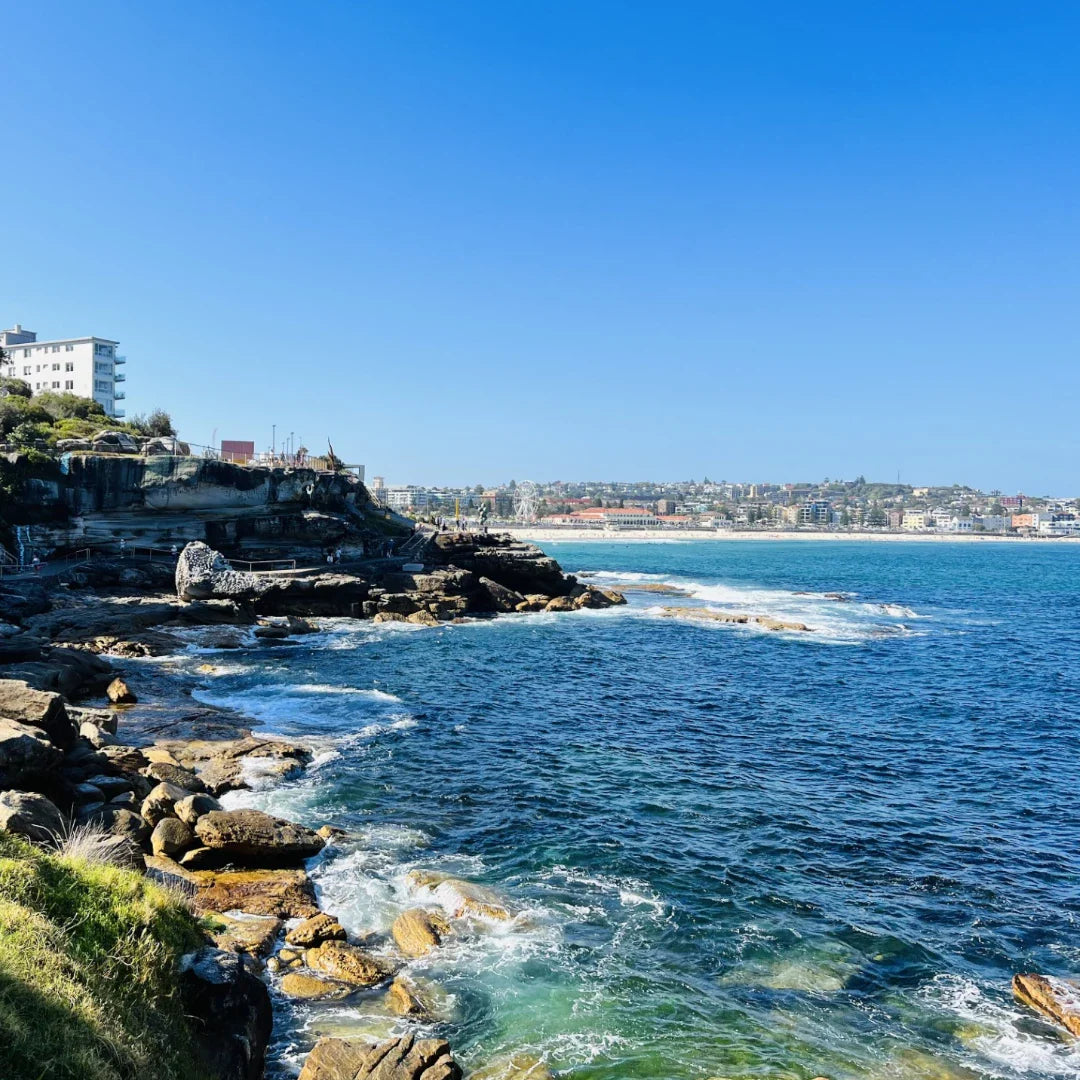 Rocky coast with ocean view