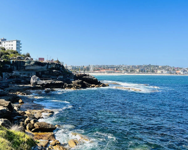 Rocky coast with ocean view