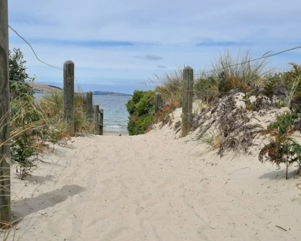 walkway to a sandy beach
