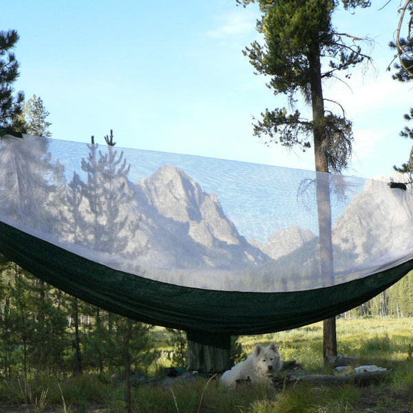 Mosquito Free Hammock