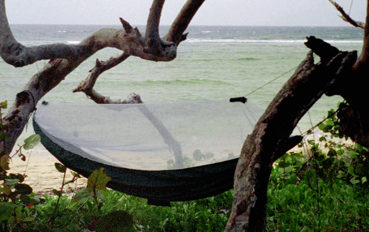 Mosquito Free Hammock