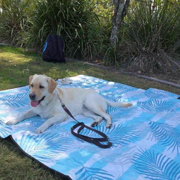 Dog lying on a blue patterned mat outdoors with grass and plants in the background