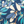  BanksiaBlue