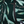  GumGreen